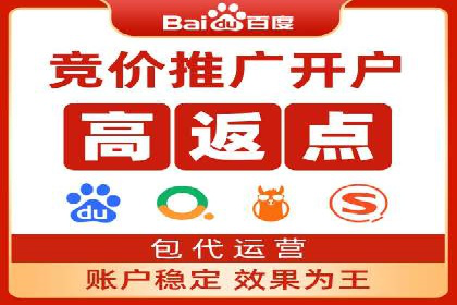 实战派经验分享：百度竞价代理成功案例揭秘